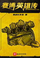 赛博英雄传精校版