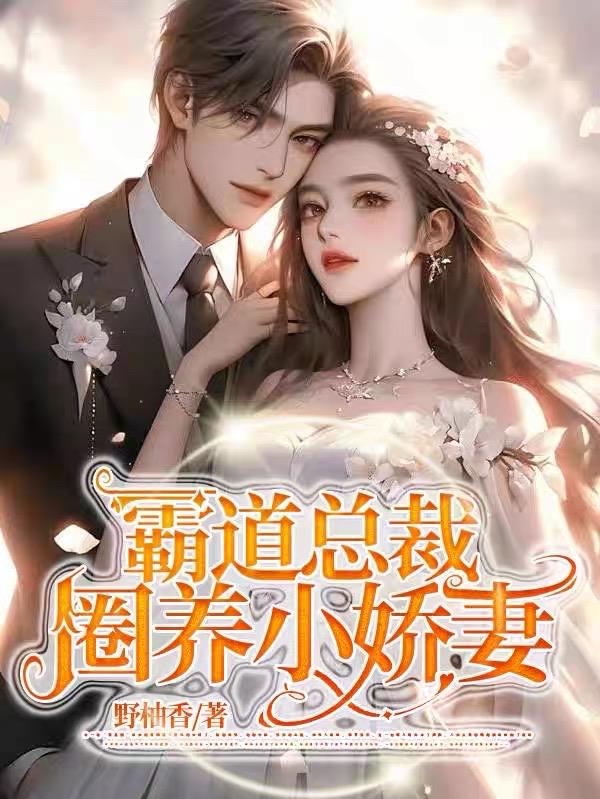 霸道总裁的小娇妻电视
