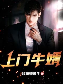 凌啸天叶紫韵