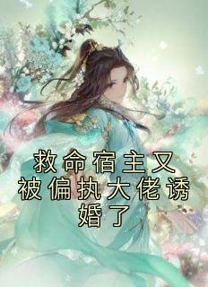 扶桑茶是什么茶叶