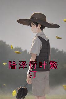 叶繁汀陆泽衍100集