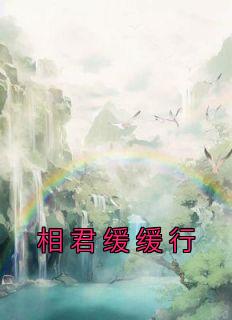 相君缓缓行原著免费阅读正版