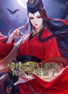 大佬姐姐们倒贴主角?我被迫无敌