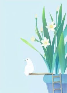 江亦池擎免费全文