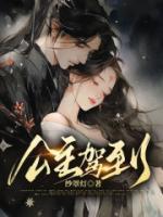电视剧公主驾到