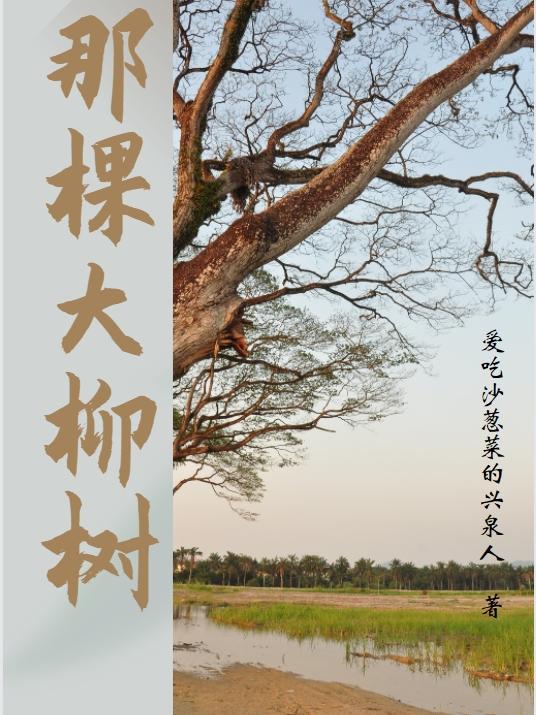 大柳树在什么地方