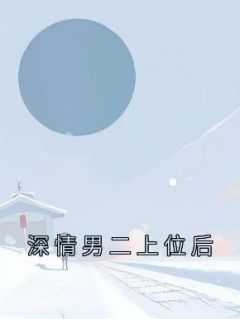 岑玥陆城傅昭年完结