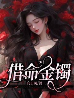 借命金镯淼淼的后续故事背景