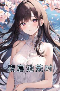 夜宸免费阅读