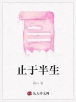 一去半生歌词