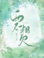 两不相欠是成语吗