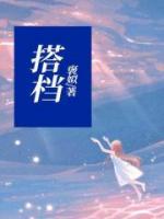 搭档的意思