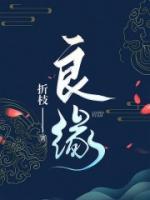阆苑仙葩美玉无瑕指的是