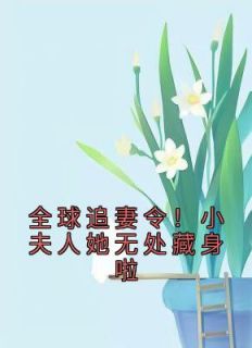 全球追妻令!小夫人她无处藏身啦 颜久久