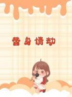 替身情缘 言情