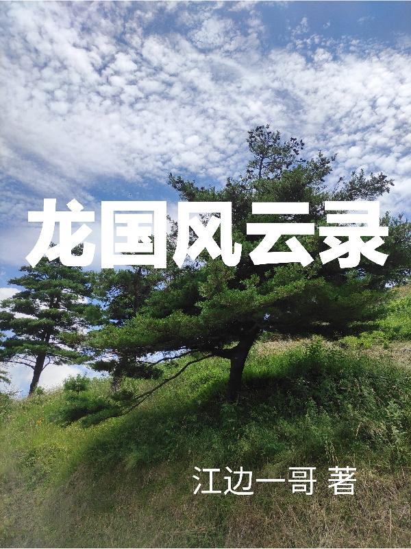 风云 龙冢