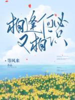 相逢何必又相识指什么生肖
