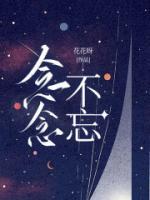 念念不忘电视剧