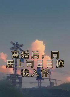 离婚后的同居漫画