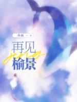 苏淼段聿寒