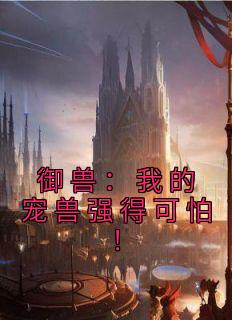 叫林奇的