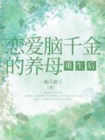 许飞章节