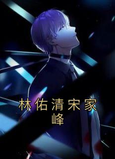 林佑清宋家峰在线阅读