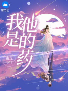 我是他的药许念