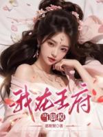 我在王府当小妾