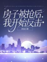 被抢走的房