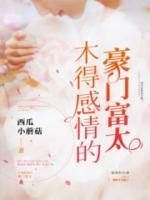 宋彦彦教授