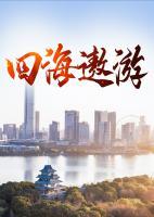 老张陈冰完整版