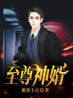 叶昊郑漫儿至尊神婿免费阅读全本120页