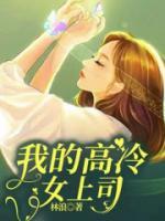 赵晓菲简介