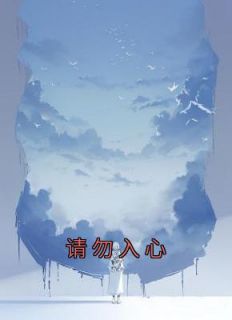 贺临洲程云雾免费阅读第11章