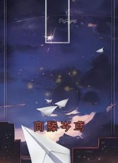商滕岑鸢在线阅读