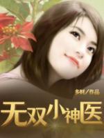 无双小神医 龙城飞将
