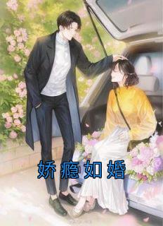 沈书梨周婺第几章表达心意