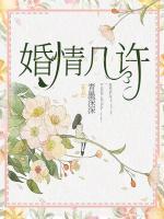 婚情几许电视剧免费观看