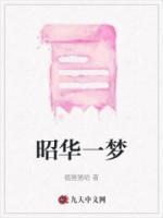 以梦昭华的