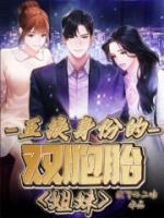 互换身份的双胞胎姐妹女优