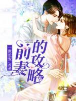 前妻攻略电视剧免费观看