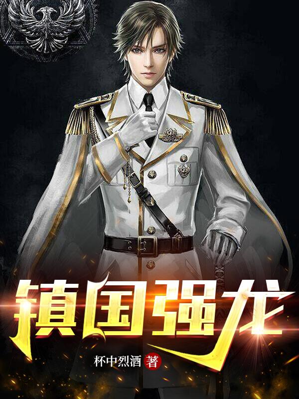 镇国龙将