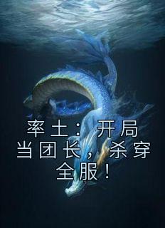 率土开荒阵容攻略