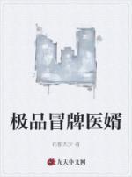 极品医生女婿