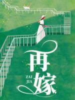 沈夏安湛全文免费阅读