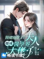 陆司霆何诗柔