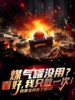 陆鸣完整版
