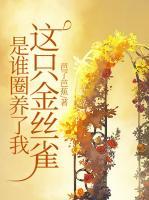 桑旗夏至第二个孩子是谁