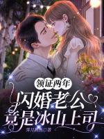沐晚凝陆南霆全文章节免费阅读